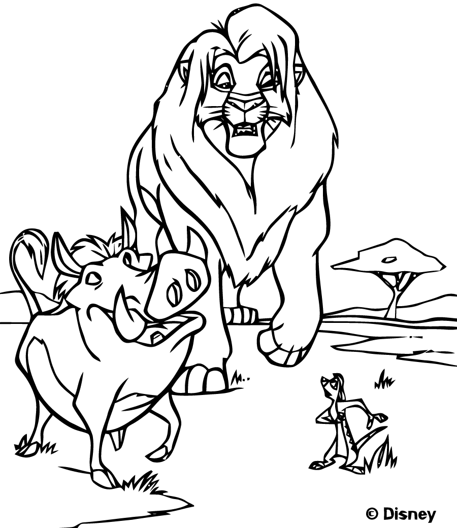 Simba walking with pumbaa