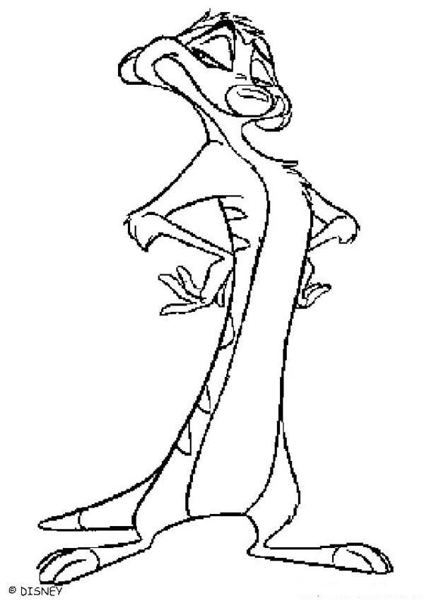 The lion king coloring pages