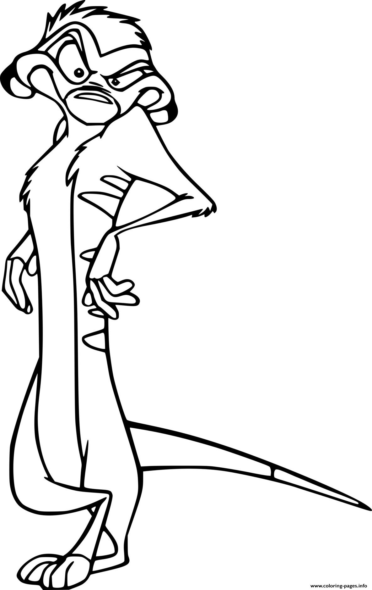 Timon meerkat coloring page printable