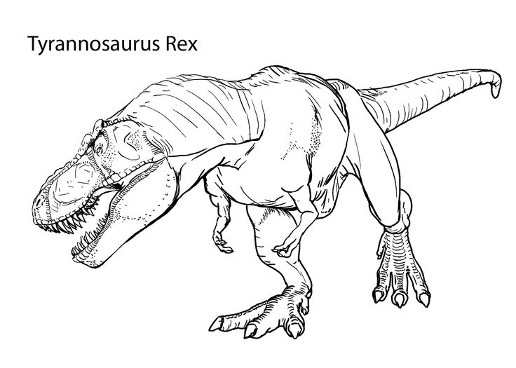 Tyrannosaurus rex realistic coloring pages for kids printable free dinosaur coloring pages skull coloring pages animal coloring pages
