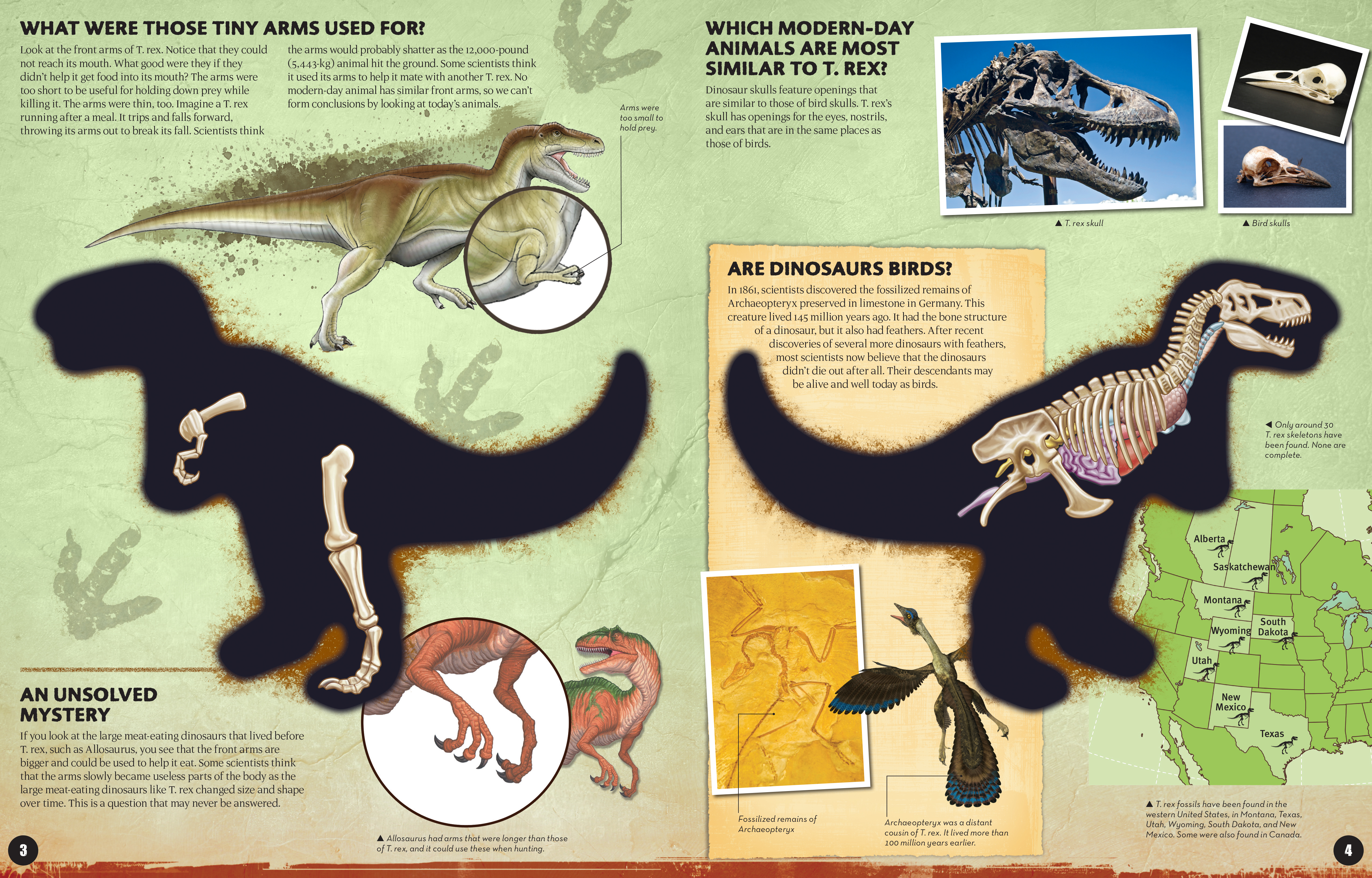 Inside out t rex by dennis schatz at a glance the group