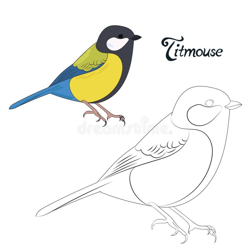 Educational game coloring book bird vector stock vector