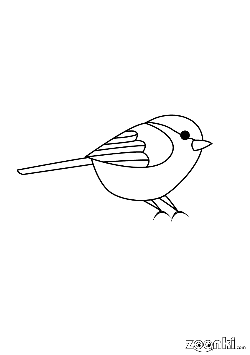Colouring pages for kids