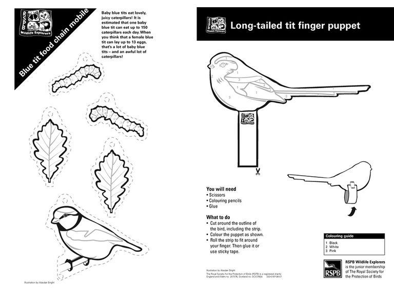 Free rspb big garden birdwatch mobile