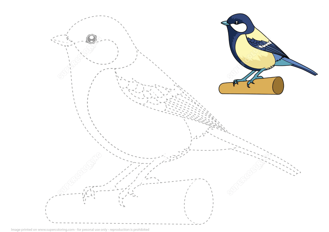 Draw great tit by tracing dashed line and color free printable puzzle games
