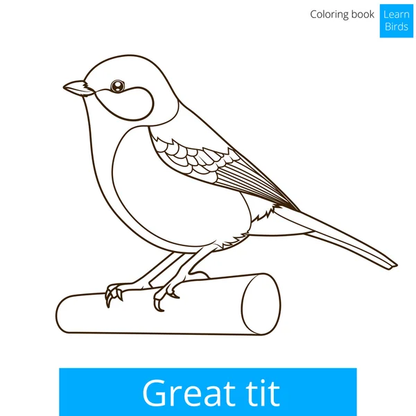 Great tit learn birds coloring book vector stock vector by alexanderpokusay