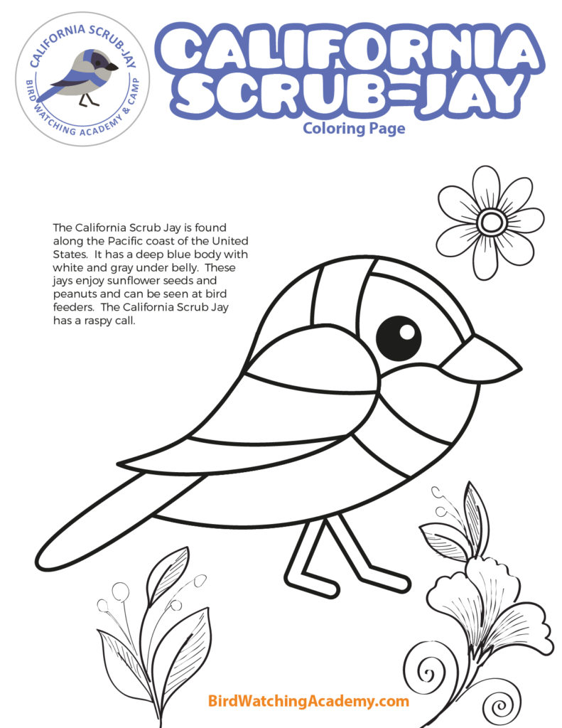 Bird coloring pages