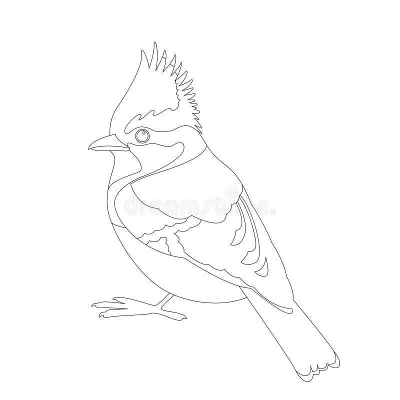 Bird coloring stock illustrations â bird coloring stock illustrations vectors clipart