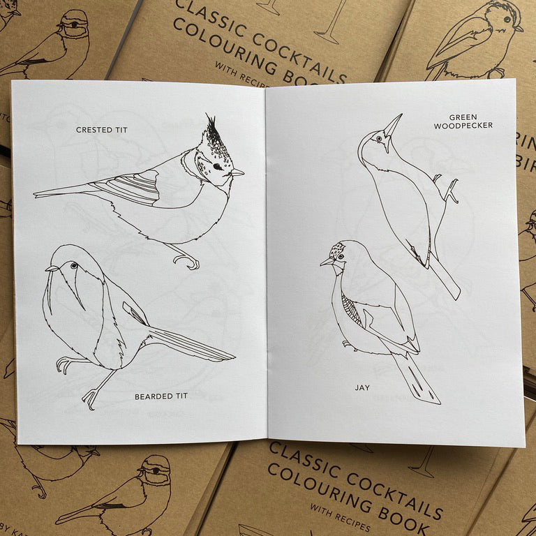 Louring book of birds â