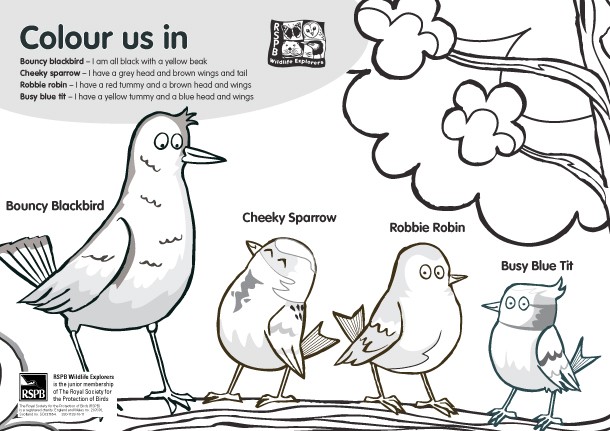Free rspb big garden birdwatch mobile