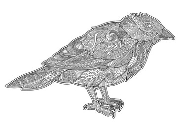 Colour sparrow vector images over