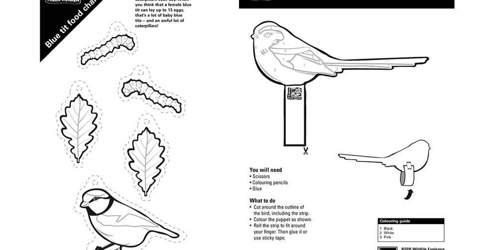 Free rspb big garden birdwatch mobile