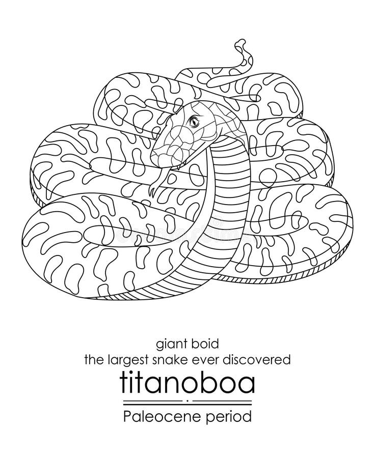 Titanoboa stock illustrations â titanoboa stock illustrations vectors clipart