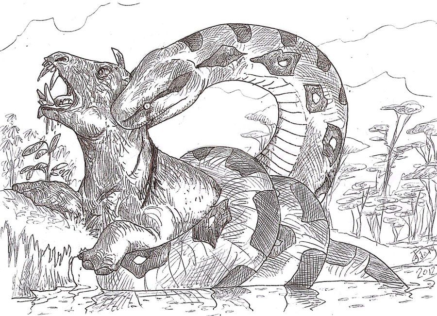 Titanoboa is sick of crocs tiranossauro rex desenho desenho tiranossauro rex