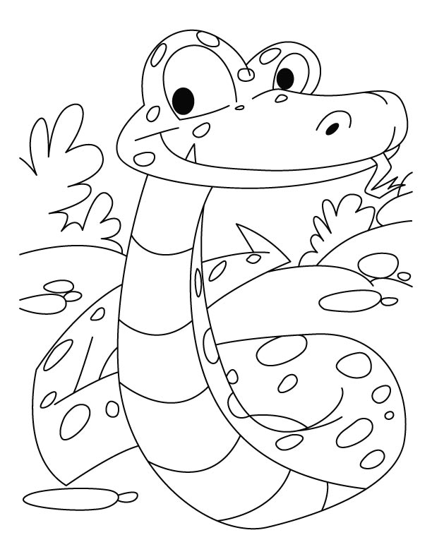 Snake looking at its prey coloring pages download free snake looking at its prey coloring pages for kids best coloring pages