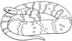 Snakes ewwwwwwwwwww ideas snake coloring pages coloring pages for kids printable coloring pages