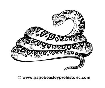 Titanoboa pictures