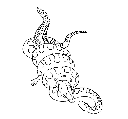 Colored page anaconda and caiman painted by cool