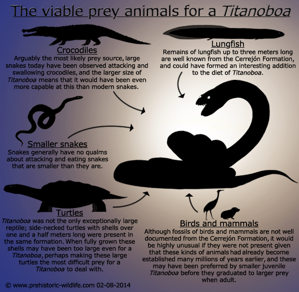 Titanoboa