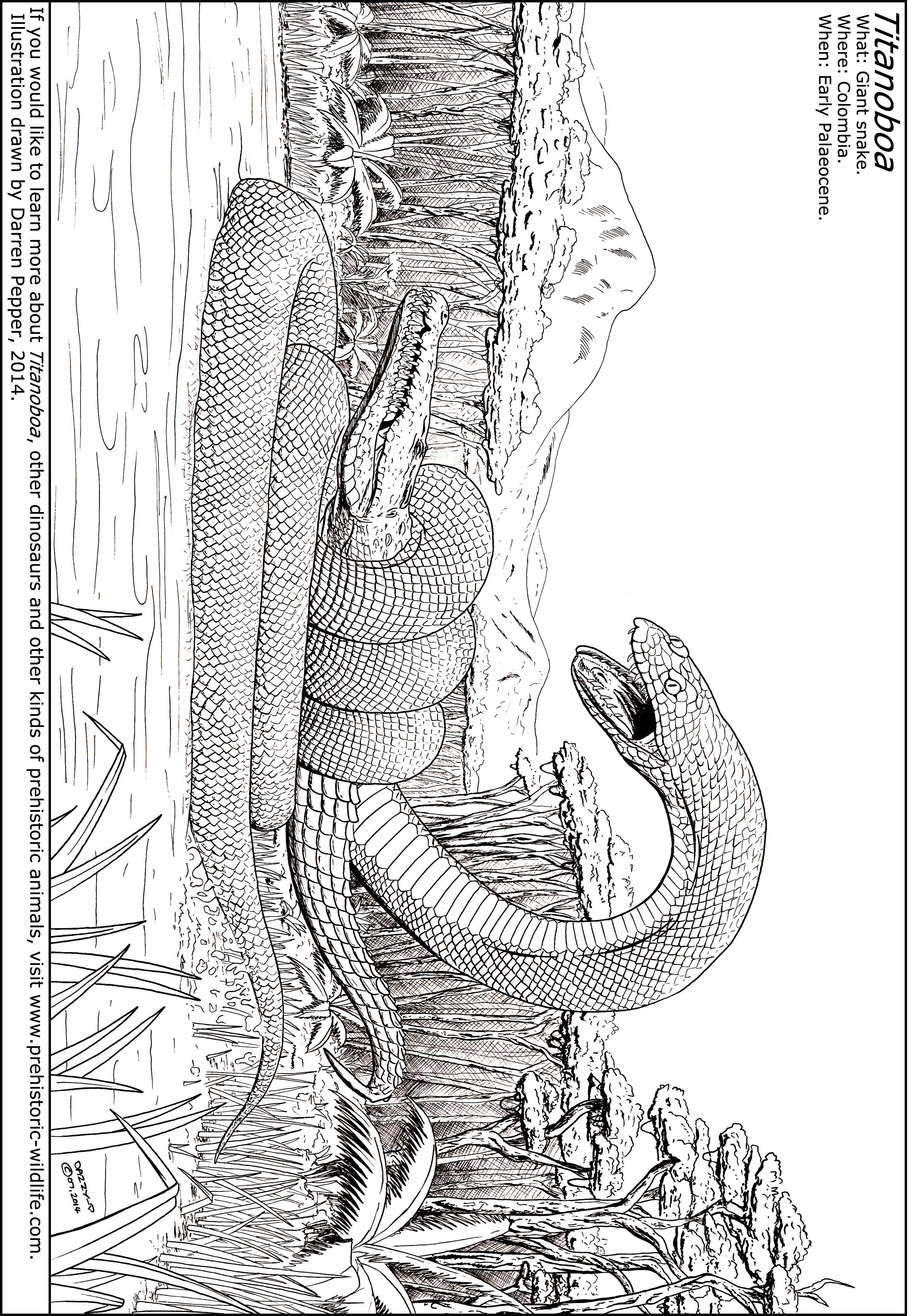Titanoboa