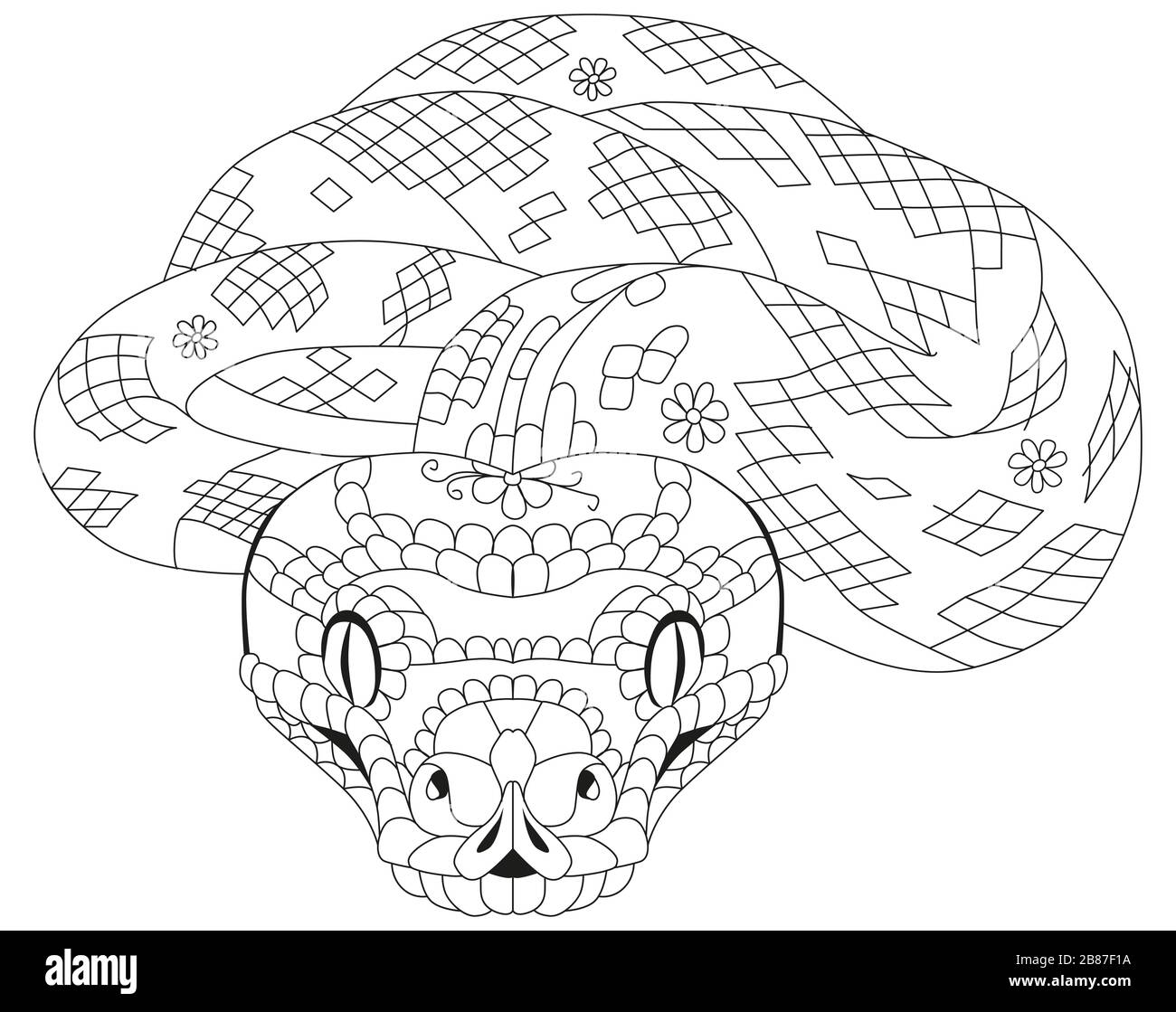 Adult snake cut out stock images pictures