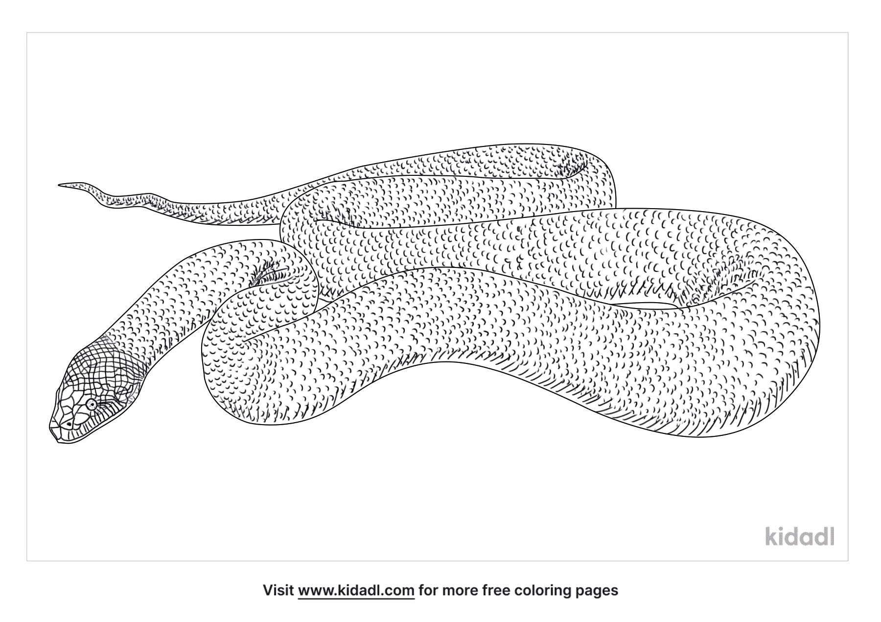 Free titanoboa coloring page coloring page printables