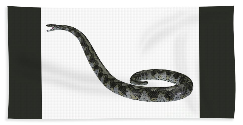 Titanoboa snake side profile beach sheet by corey ford