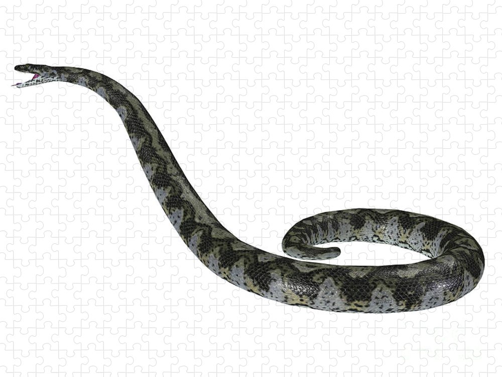 Titanoboa snake side profile jigsaw puzzle by corey ford