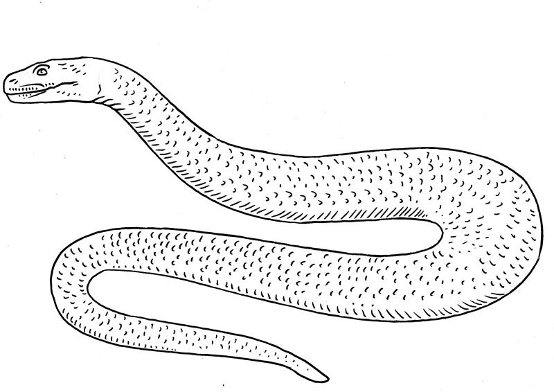 Prehistoric monsters