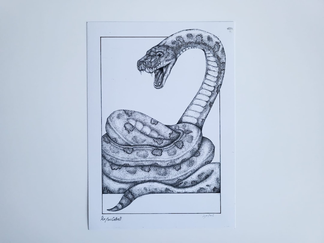 Snake titanoboa a illustration print