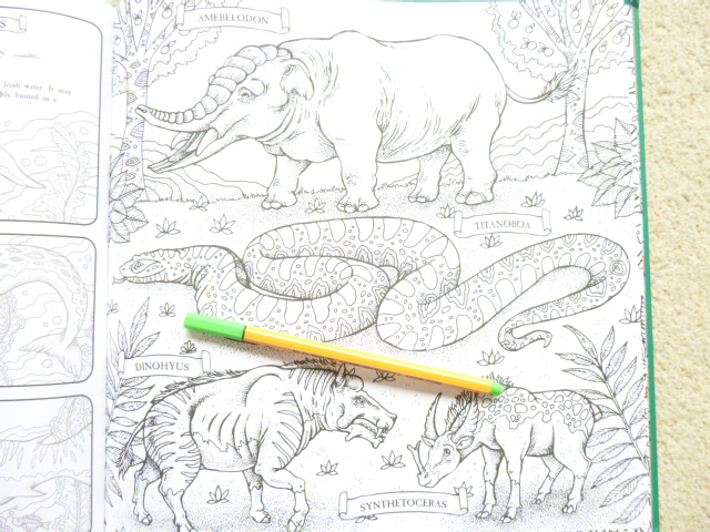 The book of prehistoric beasts colouring in the midst of madness