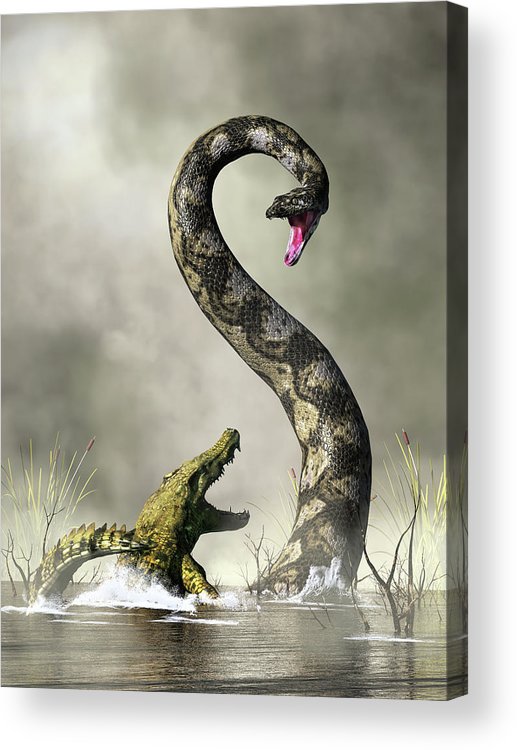 Titanoboa acrylic print by daniel eskridge