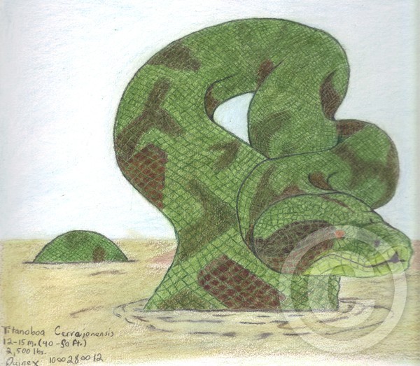 Titanoboa by quincy m