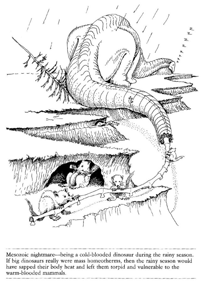 Oblivious sauropods being eaten part bakkers snoozing brontosaur sauropod vertebra picture of the week