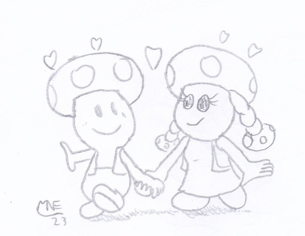 Toad and toadette by mrnintman on