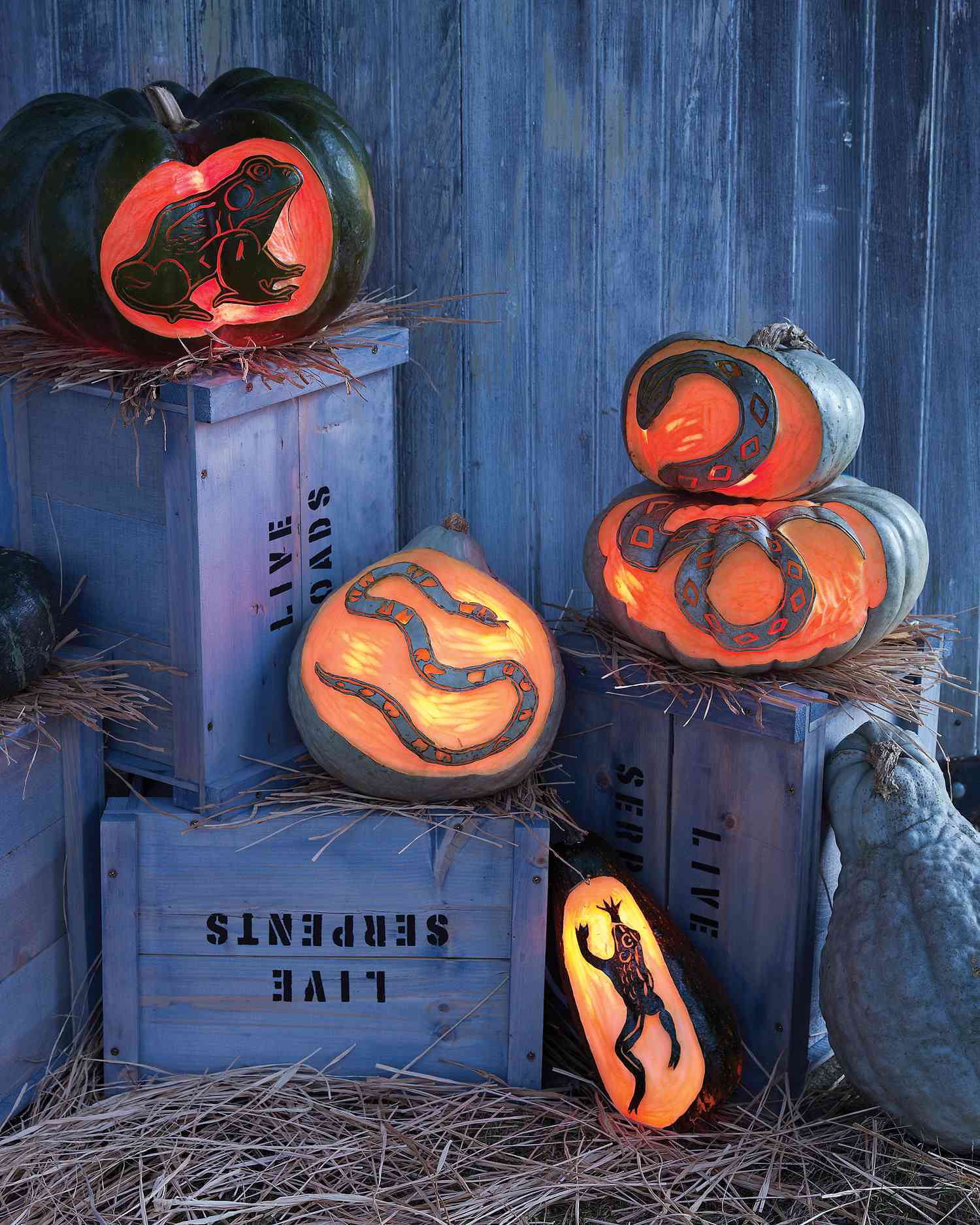 Best pumpkin carving and decorating ideas