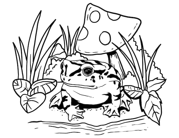 Printable mushroom and frog coloring page frogs lovers digital download spring coloring instant pdf