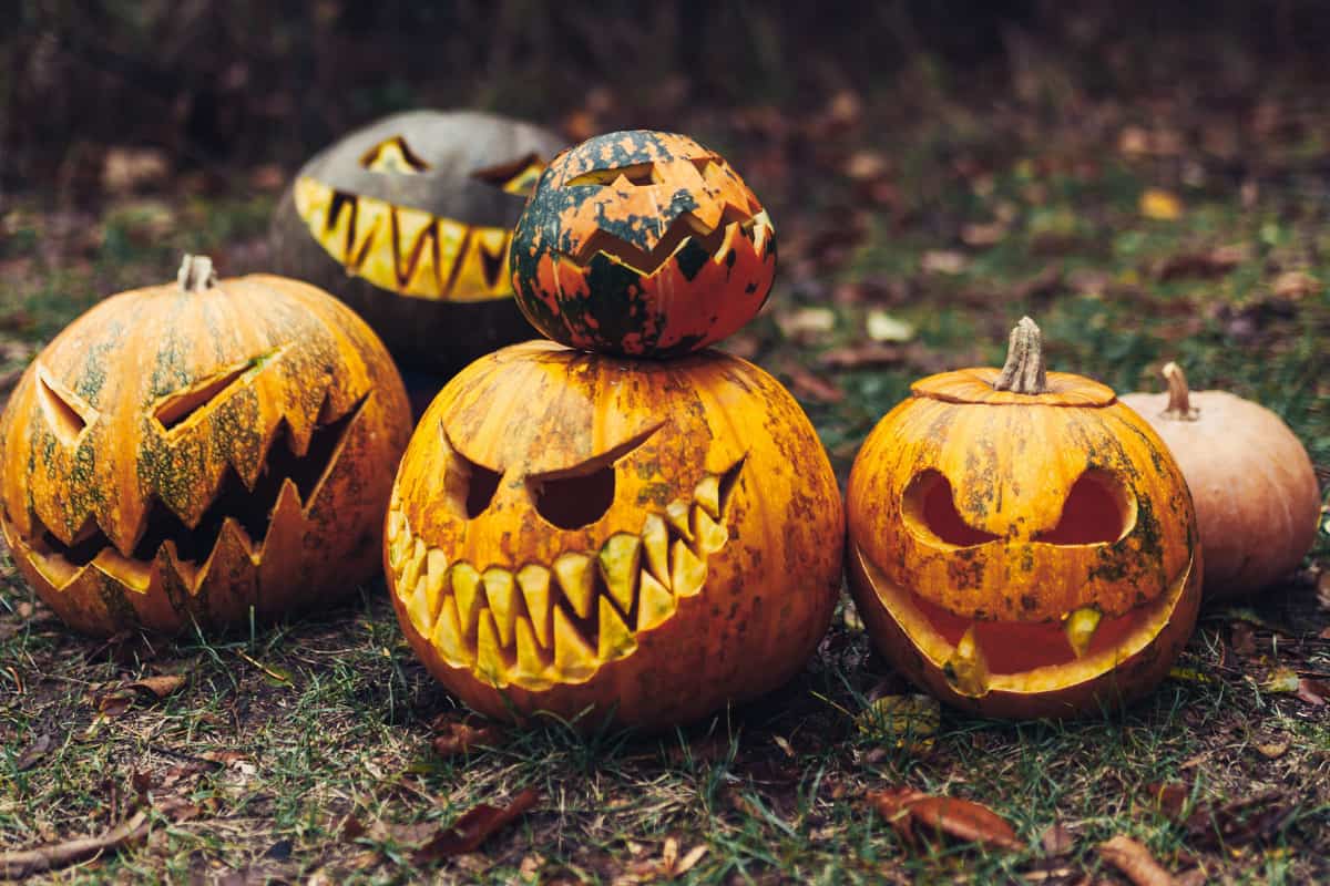 Creepy crazy and creative pumpkin carving ideas â