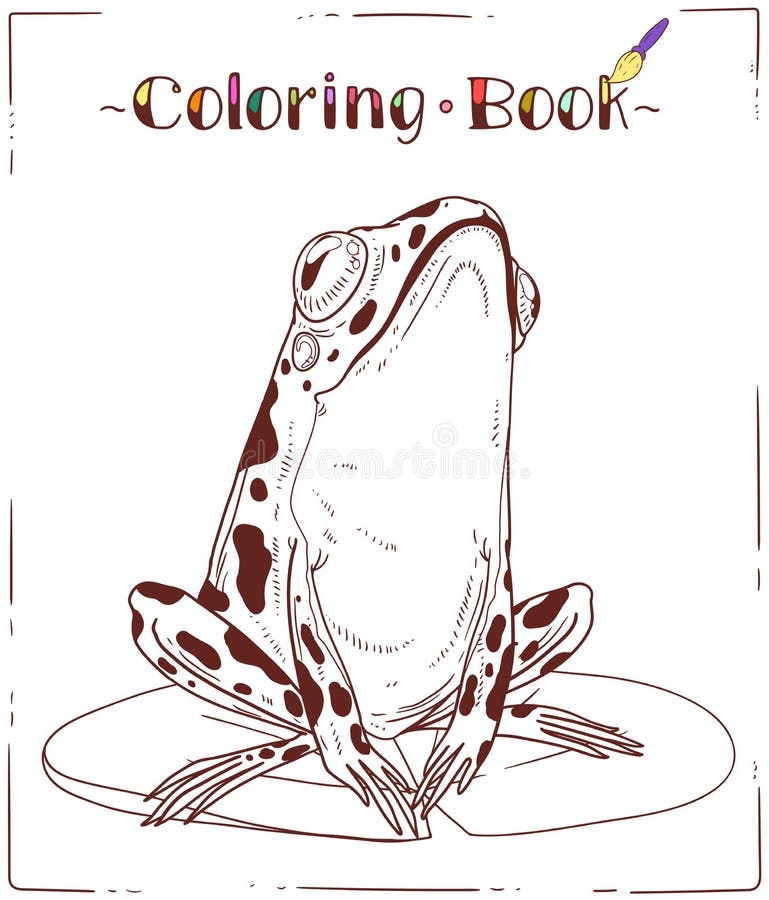 A frog coloring sheet outline picture of a toad on a round lily pad stock vector