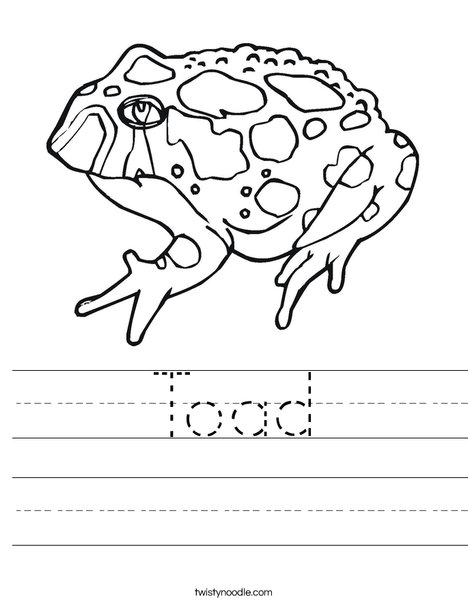 Toad worksheet