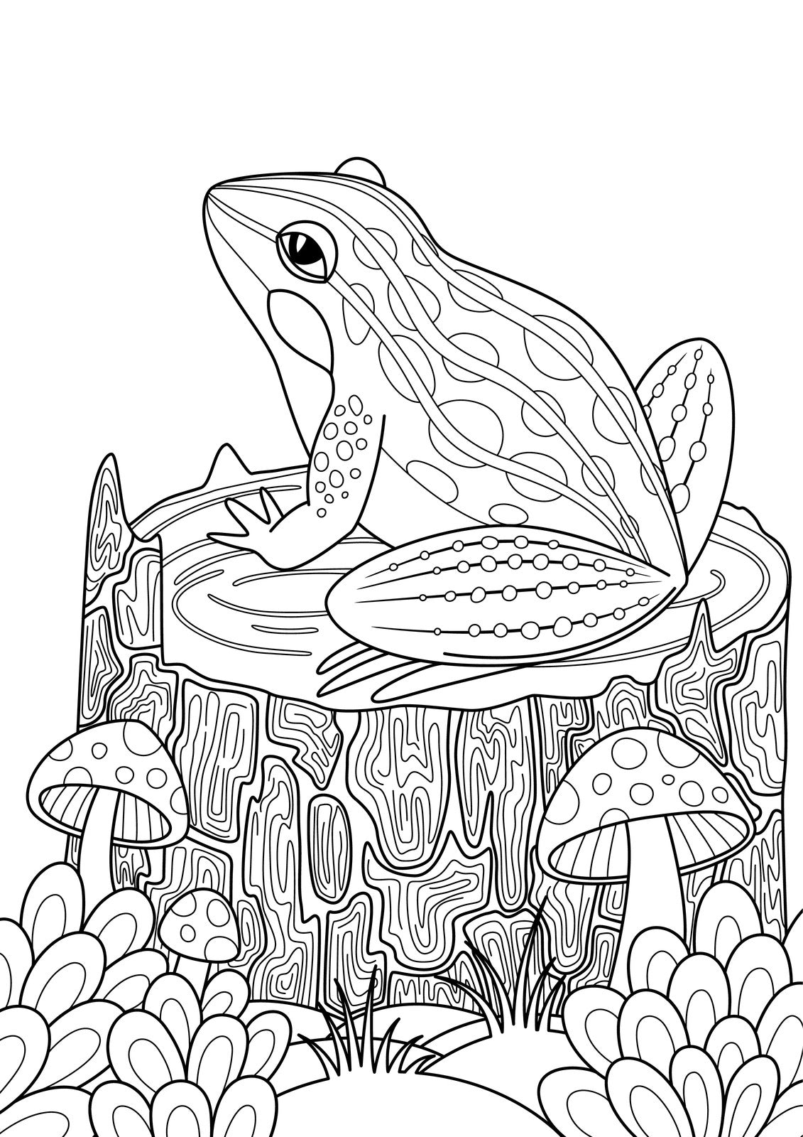 Frogs