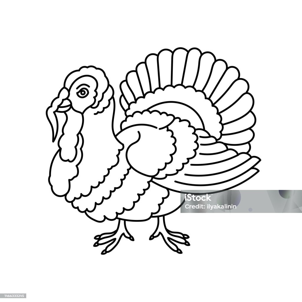 Turkey bird poultry farm vector line editable outline strokeåéåååæåtom turkeyåç