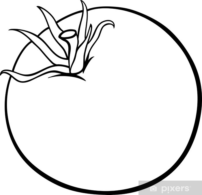 Shower curtain tomato vegetable cartoon for coloring book