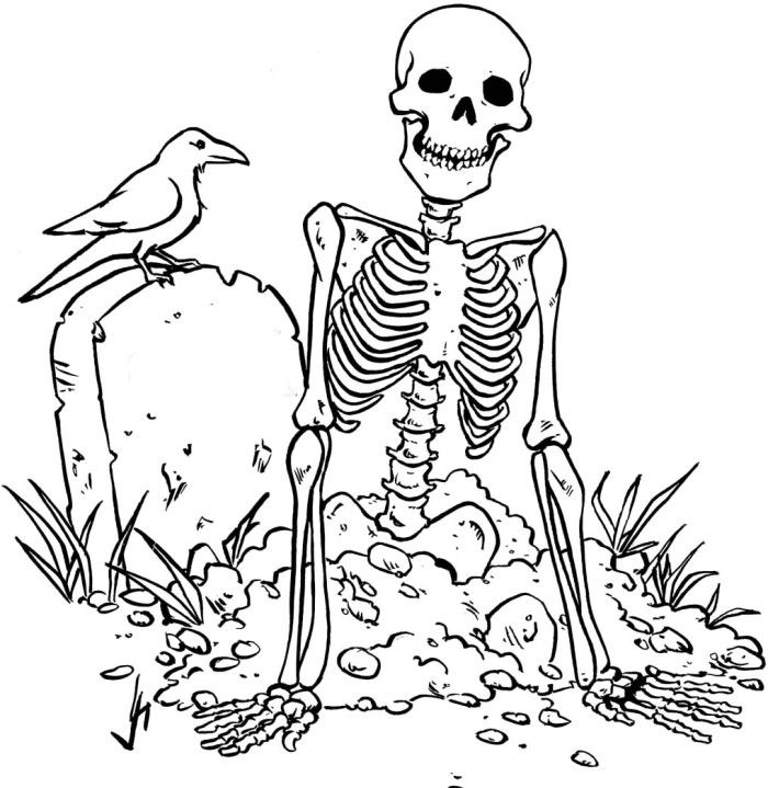 Zombie skull coloring pages free halloween coloring pages halloween coloring pages printable scary halloween coloring pages