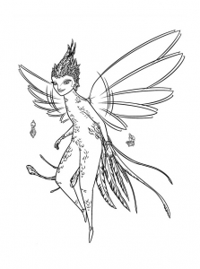 Fairy