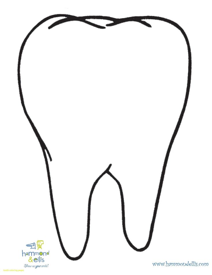 Tooth coloring pages ready to print teeth pictures teeth clip tooth template