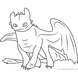 Toothless coloring page for kids