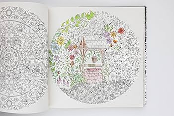 Secret garden an inky treasure hunt and coloring book for adults basford johanna books