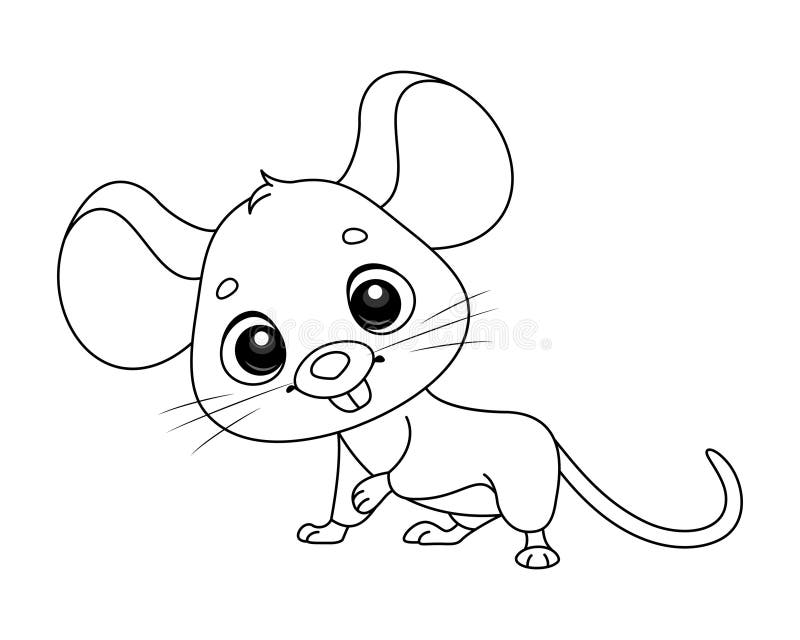 Mouse animal coloring page cartoon vector illustration stock vector