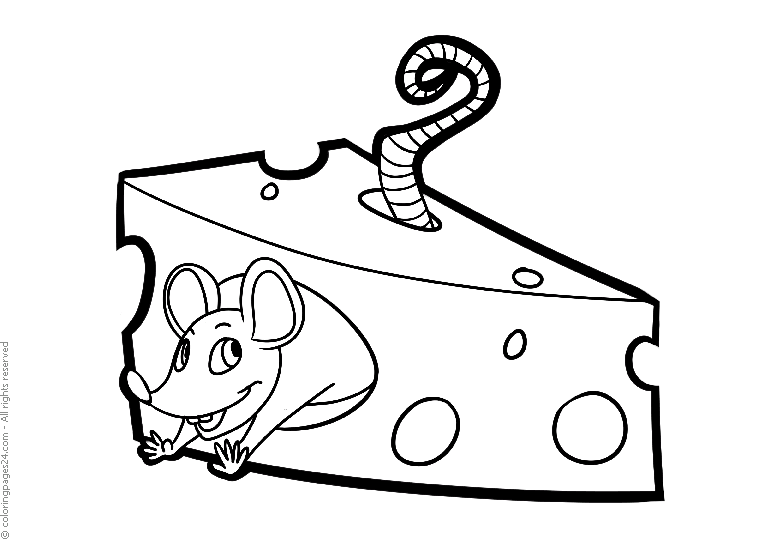 Topi ratti disegni da colorare